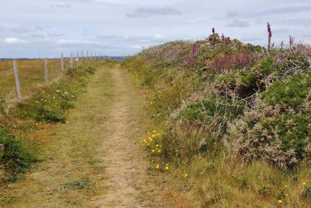Farm Accommodation - The Lizard Peninsula, Cornwall Helston Buitenkant foto