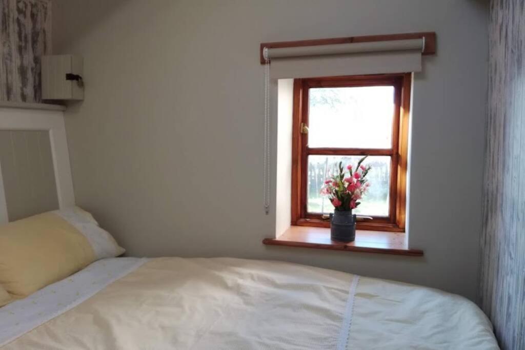 Farm Accommodation - The Lizard Peninsula, Cornwall Helston Buitenkant foto