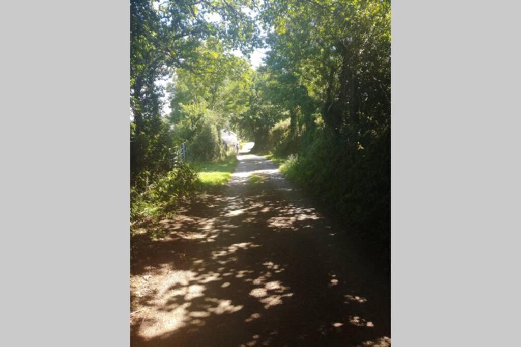 Farm Accommodation - The Lizard Peninsula, Cornwall Helston Buitenkant foto