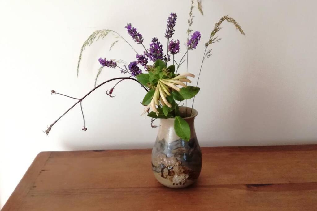 Farm Accommodation - The Lizard Peninsula, Cornwall Helston Buitenkant foto