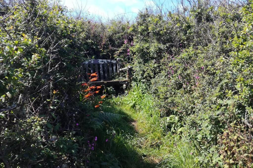 Farm Accommodation - The Lizard Peninsula, Cornwall Helston Buitenkant foto