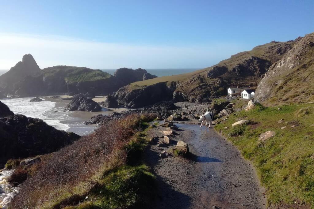 Farm Accommodation - The Lizard Peninsula, Cornwall Helston Buitenkant foto