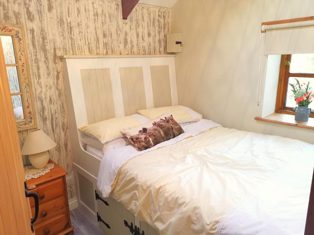 Farm Accommodation - The Lizard Peninsula, Cornwall Helston Buitenkant foto