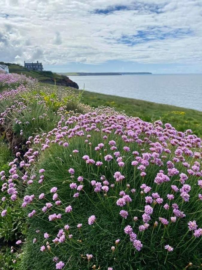 Farm Accommodation - The Lizard Peninsula, Cornwall Helston Buitenkant foto