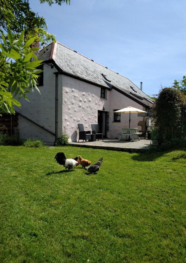Farm Accommodation - The Lizard Peninsula, Cornwall Helston Buitenkant foto