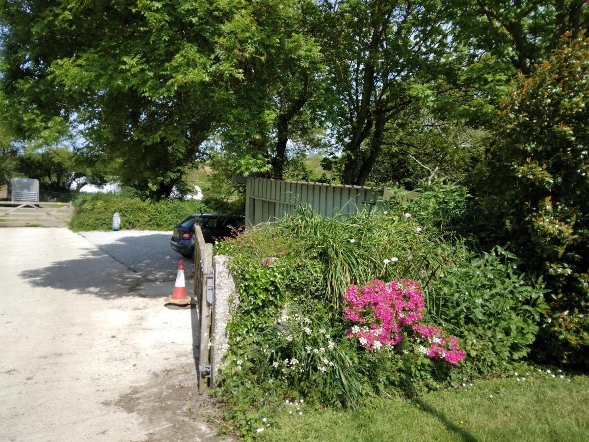 Farm Accommodation - The Lizard Peninsula, Cornwall Helston Buitenkant foto
